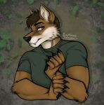 absurd_res anthro arwin canid canine canis hi_res lupis lupus male mammal solo thehuntingwolf wolf