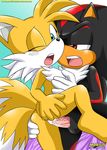  butt canine crossgender cum female fox hedgehog invalid_tag male mammal miles_prower mobius_unleashed palcomix penis sega shadow_the_hedgehog sonic_(series) straight vaginal 