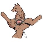 angra animal_genitalia animal_pussy bestiality canid canine canine_genitalia canine_pussy canis female feral feral_focus feral_penetrated genitals human human_on_feral human_penetrating human_penetrating_feral interspecies male male/female mammal penetration pussy sex solo