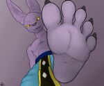 5_toes anthro barefoot beerus bottomwear claws clothing domestic_cat dominant dominant_anthro dominant_male dragon_ball dragon_ball_super feet felid feline felis foot_fetish foot_focus hairless hairless_cat hi_res humanoid_feet looking_at_viewer low-angle_view macromousie male mammal pants plantigrade purple_background purple_body simple_background soles solo sphynx_(cat) toe_claws toes yellow_eyes