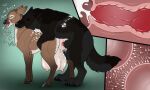  animal_genitalia animal_penis balls big_breasts bite black_body black_claws black_fur black_pawpads bodily_fluids breasts brown_body brown_fur canid canine canine_genitalia canine_penis claws cum cum_inside cum_on_teats deer duo eyes_closed fangs female female_penetrated feral feral_on_feral feral_penetrated feral_penetrating feral_penetrating_feral from_behind_position fur genital_fluids genitals grey_balls grey_body grey_fur grey_hooves hi_res hooves huge_breasts impregnation internal killthe_demon knotting male male/female male_penetrating male_penetrating_female mammal multiple_ova neck_bite open_mouth ovum pawpads penetration penis red_penis sex side_view simple_background teats teeth tongue tongue_out 