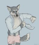 absurd_res anthro bulge canid canine canis claws clothing dressing_up fluffy fluffy_chest fur grey_body grey_fur hi_res inner_ear_fluff looking_at_viewer male mammal mythological_canine mythological_creature mythology pubes shirt simple_background smile smiling_at_viewer smirk smirking_at_viewer solo tail tongue topwear tuft underwear viggo walking werecanid werecanine werecreature werewolf white_body white_fur wolf