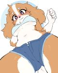 absurd_res anthro belly bird_dog blush bottomwear breasts brown_body brown_ears brown_fur canid canine canis caramel_(muffyteru) chest_tuft clothed clothing countershade_torso countershading crop_top denim denim_bottomwear denim_clothing denim_hotpants denim_shorts detailed digital_drawing_(artwork) digital_media_(artwork) domestic_dog eyebrows facial_markings female floppy_ears fur gloves_(marking) head_markings hi_res hotpants hunting_dog looking_down low-angle_view mammal markings muffyteru multicolored_body multicolored_fur navel panties panty_peek pawpads purple_eyes shirt shorts simple_background skimpy solo spaniel topwear tuft two_tone_body two_tone_fur unbuttoned_shorts under_boob underwear white_belly white_clothing white_crop_top white_hands white_topwear worm&#039;s-eye_view