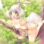  all_fours animal_ears barefoot blush branch flying_sweatdrops fox_ears fox_tail green_eyes grey_hair hanakomiti in_tree leaf nail_polish open_mouth original pajamas polka_dot ribbon scared short_hair solo tail tears tree wavy_mouth 