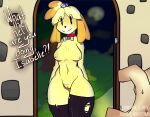 2024 absurd_res accessory ambiguous_gender animal_crossing anonjustanon anthro anthro_focus big_breasts black_clothing black_eyes black_legwear black_nose black_stockings blonde_hair bodily_fluids breasts canid canine canis clothing collar dialogue disembodied_hand domestic_dog doorway english_text faceless_ambiguous faceless_character faceless_human female female_focus first_person_view fur hair hair_accessory hi_res human human_pov inside isabelle_(animal_crossing) legwear looking_at_viewer mammal mostly_nude nintendo nipples orange_body orange_fur orange_hair pink_nipples red_collar shih_tzu smile solo_focus stockings sweat text thick_thighs torn_clothing torn_legwear torn_stockings toy_dog vulva yellow_body yellow_fur