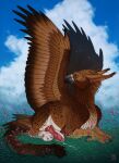 animal_genitalia animal_penis avian balls bodily_fluids brown_body brown_feathers brown_wings canine_genitalia canine_penis cum cum_on_ground ear_piercing ear_ring erection feathered_wings feathers feral genital_fluids genitals gryphon hi_res knot male male_feral mouth_closed mythological_avian mythological_creature mythology narrowed_eyes on_ground penis piercing red_penis ring_piercing riorix sheath side_view solo spotted_back spotted_legs vein veiny_penis white_balls white_sheath wings yellow_eyes