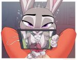 2024 absurd_res amadose animal_genitalia animal_penis anthro biped bodily_fluids canid canine canine_genitalia canine_penis clothed clothing clothing_around_one_leg cuckold cuckold_pov digit_ring digital_media_(artwork) disney dominant dominant_female drooling duo erection european_rabbit fellatio female female_anthro fox fur genitals grey_body grey_fur hi_res holding_knot_root hotwife humiliation humiliation_fetish husband husband_and_wife jewelry judy_hopps knot lagomorph leporid looking_at_porn looking_at_viewer male male/female male_anthro mammal married_couple nick_wilde oral oral_penetration orange_body orange_fur oryctolagus owen_(amadose) panties panties_around_one_leg panties_down partially_clothed penetration penile penis pornography rabbit red_fox ring saliva seductive sex spread_legs spread_vulva spreading submissive submissive_male tongue tongue_out true_fox underwear underwear_around_one_leg underwear_down vaginal vaginal_penetration vulva wedding_ring white_body white_fur wife zootopia