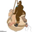anal anal_penetration balls bear belly belly_expansion belly_inflation bengo big_balls big_belly big_penis bodily_fluids cudacore cudacore_(cudacore) cum cum_inflation cum_inside ejaculation expansion feet genital_fluids genitals hi_res huge_belly hyper hyper_belly inflation kangaroo macropod male male/male mammal marsupial navel orgasm outie_navel paws penetration penis sex slightly_chubby toes