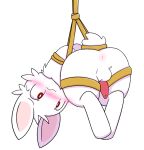 animal_genitalia animal_penis anthro bdsm blush bodily_fluids bondage bound bubbluechy chibi erection fur genitals lagomorph leporid male mammal penis rabbit solo white_body white_fur