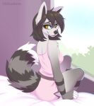 2025 5_fingers anthro bed biped breasts brown_body brown_fur brown_hair brown_tail butt clothed clothed_anthro clothed_female clothing cloud day digital_media_(artwork) dress ei-ka female fingers fur furniture hair hi_res inside looking_at_viewer looking_back looking_back_at_viewer mammal markings on_bed orange_eyes plant procyonid raccoon rear_view sitting sitting_on_bed sky smile solo striped_markings striped_tail stripes tail tail_markings tree window