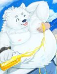 2025 absurd_res anthro beach belly big_belly black_nose bottomwear bulge canid canine canis clothing cloud dagehot domestic_dog duo fur groping_from_behind hi_res kemono lifewonders live_a_hero male mammal moob_grab moobs nipples one_eye_closed outside overweight overweight_male shorts solo_focus swimwear tongue tongue_out water white_body white_fur yohack