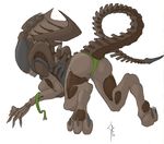  3_toes alien alien_(franchise) anthro claws female looking_back panties preatorian raised_tail underwear xenomorph 