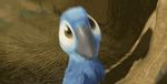  avian bird blu_(rio) chibi cute dancing loop macaw male parrot rio screencap solo 