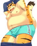  ??? bulge chubby feline iwano looking_at_viewer male mammal nipples open_mouth overweight solo teeth tiger underwear undressing 