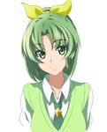  closed_mouth diamond_(shape) green_eyes green_hair green_neckwear looking_at_viewer midorikawa_nao nanairogaoka_middle_school_uniform nanashishi necktie ponytail precure school_uniform simple_background skirt sleeves_rolled_up smile smile_precure! solo sweater_vest upper_body white_background 
