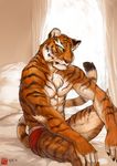  amber_eyes anthro bed bedroom biceps black_fur body_markings boxer_briefs boxers brown_fur bwd chest_tuft claws curtains feline fur invalid_tag looking_at_viewer male mammal markings muscles orange_fur pecs pillow pink_nose pose room sitting solo stripes tiger toned topless tuft underwear white_fur window yellow_eyes 