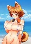  1girl animal_ears atlus beach bikini breasts brown_eyes brown_hair chinjuu_hibakichi genderswap hanamura_yousuke headphones huge_breasts persona persona_4 short_hair solo swimsuit tail 