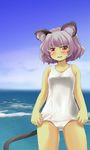  animal_ears bad_id bad_pixiv_id blue_sky blush day grey_hair mouse_ears mouse_tail nazrin nise_nanatsura one-piece_swimsuit open_mouth red_eyes school_swimsuit short_hair sky solo swimsuit tail tan touhou water white_swimsuit 
