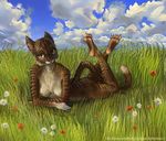 feline female field khajiit mammal nipples nude solo the_elder_scrolls tuftedears video_games 