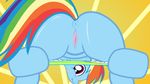  butt equine female feral friendship_is_magic horse mammal my_little_pony panties pegasus pony presenting pussy rainbow_dash_(mlp) solo sweat tiarawhy underwear wings 