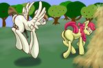  anus apple_bloom_(mlp) balls cub equine feather_weight_(mlp) featherweight_(mlp) female feral friendship_is_magic horse horsecock mammal my_little_pony penis pony pussy ragingsemi young 