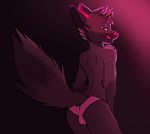  bulge butt canine cute dog fox gay girly invalid_tag male mammal underwear vivian vivianfox wolf 