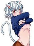  animal_ears hunter_x_hunter nefelpitou no_bra tail underboob undressing 