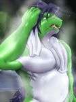  biceps big_muscles chinese_dragon chubby dragon fangs green_dragon hair looking_at_viewer male morenatsu muscles open_mouth outside pecs solo tatsuki tongue towel unknown_artist wet 