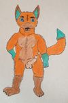  at canine erection eyes fox gay invalid_background invalid_color looking male nude penis plain viewer vulpes vulpesthefox 