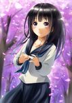  black_hair cherry_blossoms chitanda_eru fukuma highres hyouka long_hair purple_eyes school_uniform serafuku smile tree 