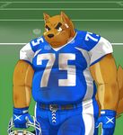  bandage biceps black_nose bulge canine chubby dirty dog football frown gloves male mammal musclegut scar shiba-kenta solo sweat 