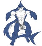  abs anthro biceps big_muscles blue_eyes bulge cetacean darius_koopa fin fish looking_at_viewer male mammal marine muscles nipples pecs plain_background pose shark solo speedo standing swimsuit teeth toned underwear white_background 