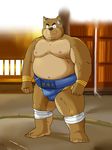  barefoot canine dog male mammal nipples overweight shiba-kenta solo sumo topless 