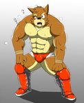  big_muscles blood bulge canine dog male mammal muscles nipples pecs shiba-kenta solo topless wrestler 
