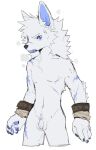 2024 amonex403 annoyed anthro biped blue_eyes canid canine canis flaccid fur genitals hi_res humanoid_genitalia humanoid_penis kemono looking_at_viewer male mammal penis slim_anthro slim_male small_penis solo standing white_body white_fur wolf