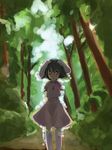  ^_^ animal_ears arms_behind_back bad_id bad_pixiv_id bamboo bamboo_forest black_hair bunny_ears closed_eyes dress forest inaba_tewi jewelry kuronuko_neero nature necklace short_hair smile solo standing thighhighs touhou tree zettai_ryouiki 