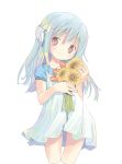  1girl absurdres blue_hair blush brown_eyes dress flat_chest flower flower_(kowarekake) headgear highres holding holding_flower kowarekake_no_orgel long_hair looking_at_viewer mother&#039;s_day pop_(electromagneticwave) simple_background smile solo sunflower white_background 