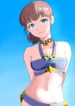  1girl absurdres adventurer_(ff11) arms_behind_back bare_shoulders bikini blue_bikini blue_choker blue_eyes blue_sky breasts brown_hair chatarou_bekkan choker clear_sky cleavage closed_mouth collarbone day eyelashes final_fantasy final_fantasy_xi halterneck highres hume looking_at_viewer medium_breasts navel outdoors short_hair sky smile solo swimsuit 