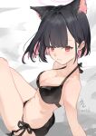 1girl absurdres animal_ear_fluff animal_ears ass bikini black_bikini black_hair blue_archive breasts cat_ears cleavage colored_inner_hair commentary_request feet_out_of_frame highres kazusa_(blue_archive) kure_(kuremnn) medium_breasts multicolored_hair pink_hair red_eyes short_hair side-tie_bikini_bottom sitting solo swimsuit 