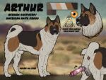 akita american_akita animal_genitalia animal_penis anus arthur_(brothen) balls black_body black_fur black_nose brown_balls brown_body brown_fur canid canine canine_genitalia canine_penis canis domestic_dog english_text erection feral fully_sheathed fur genitals german_shepherd glistening glistening_eyes herding_dog hi_res hybrid knot knot_root knotted_penis kodaac looking_at_viewer male male_feral mammal model_sheet mouth_closed orange_eyes pastoral_dog penis penis_backwards pink_penis sheath side_view solo spitz text white_body