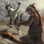  artist_name cat cat_focus claws commentary dated duel fang fighting fighting_stance matataku monita_(matataku) no_humans open_mouth original pose realistic signature too_literal whiskers yellow_eyes 