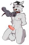 absurd_res anthro arms_tied balls bdsm blush blush_lines bodily_fluids bound canid canine canis clothing collar dumbyb duo genital_fluids genitals hat headgear headwear hi_res humanoid_genitalia humanoid_penis leash male male/male mammal nipples nude open_mouth penis precum red_eyes solo spread_legs spreading surprised tail white_body wolf