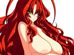  1girl breasts female green_eyes highres huge_breasts large_breasts long_hair looking_at_viewer nipples pixiv_manga_sample red_hair resized solo tsukasawa_takamatsu tsukazawa 