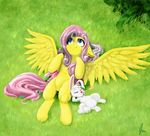  angel_(mlp) balderdash999 blue_eyes duo equine eyes_closed feathers female feral fluffy_tail fluttershy_(mlp) friendship_is_magic fur grass hair hi_res horse lagomorph long_hair looking_up male mammal my_little_pony outside pegasus pink_hair pony rabbit signature white_fur wings yellow_fur 