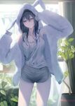  1girl :| absurdres animal_ear_hood animal_ears black_hair breasts cleavage closed_mouth commentary_request cowboy_shot day dolphin_shorts double-parted_bangs grey_eyes grey_shorts hair_between_eyes hands_up haru_(haru83380282) highres hood hood_up hooded_jacket ichinose_uruha indoors jacket long_bangs long_sleeves looking_at_viewer multicolored_hair open_clothes open_jacket plant potted_plant rabbit_ears short_shorts shorts sleeves_past_fingers sleeves_past_wrists solo standing streaked_hair tank_top virtual_youtuber vspo! white_jacket white_tank_top window 