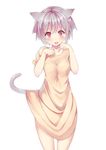  animal_ears bad_id bad_pixiv_id cat_ears collarbone dress frills kakutasu looking_at_viewer original paw_pose pink_eyes puffy_sleeves shirt short_hair short_sleeves silver_hair simple_background solo standing t-shirt tail white_background 
