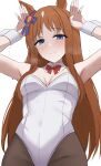  1girl animal_ears armpits arms_up black_pantyhose blue_bow blue_eyes blush bow bowtie breasts brown_hair closed_mouth detached_collar ear_bow grass_wonder_(umamusume) highres horse_ears horse_girl leotard long_hair looking_at_viewer medium_breasts namikare pantyhose rabbit_pose red_bow red_bowtie simple_background smile solo strapless strapless_leotard sweat umamusume white_background white_leotard wrist_cuffs 