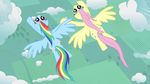  adcoon blue_eyes blue_fur cloud clouds cutie_mark duo equine female feral fluttershy_(mlp) flying friendship_is_magic fur hair hi_res horse mammal multi-colored_hair my_little_pony pegasus pink_hair pony purple_eyes rainbow_dash_(mlp) rainbow_hair sky tree wallpaper wings yellow_fur 