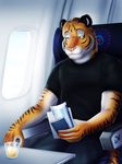  airplane clothing dream_and_nightmare drink feline male mammal pants seat shirt solo ticket tiger window 