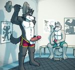  balls biceps black_nose blush canine chest_tuft clothing coal_(artist) dripping dumbbell duo erection flexing fur gay grey_fur grin gym humanoid_penis leaking male mammal masturbation muscles nipples pecs penis pose precum presenting sheath shorts sitting smile standing sweat toned topless tuft uncut vein weightlifting weights white_fur wolf 